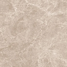 Neodom Emperador Taupe Polished 120x120 / Неодом Имперадор Таупэ Полишед 120x120 